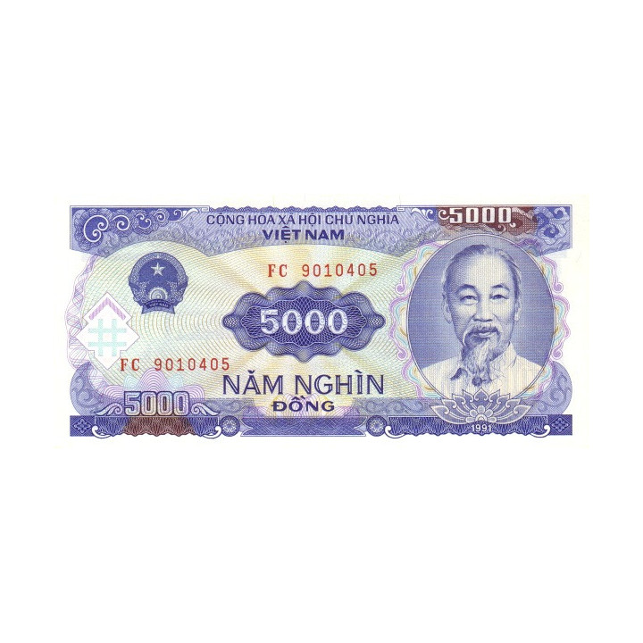 Vietnam 5000 Dong 1991 P-108