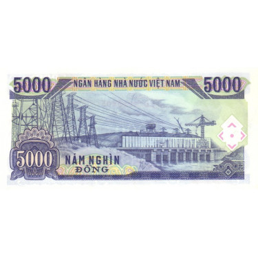 Vietnam 5000 Dong 1991 P-108