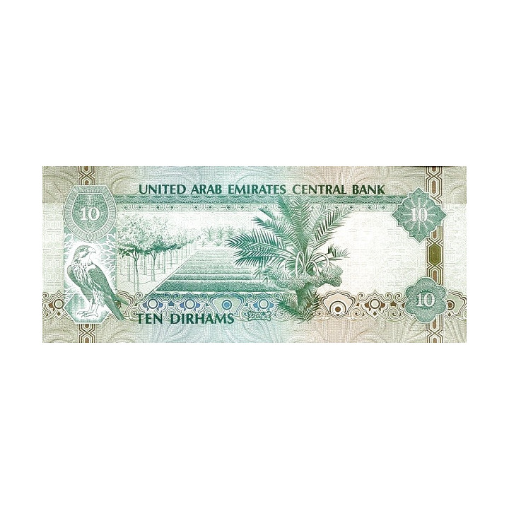 Förenade Arabemiraten 10 Dirhams 2013 P-27b