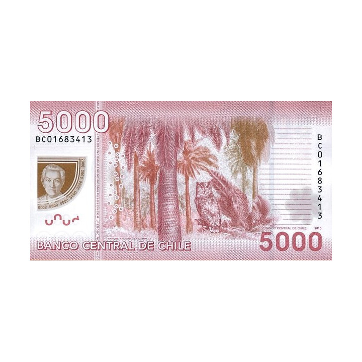 Chile 5000 Pesos 2013 P-163d