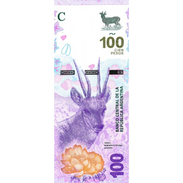 Argentina 100 Pesos 2018...