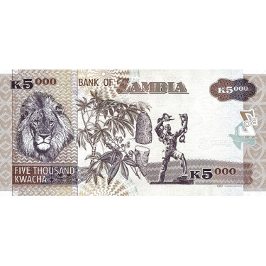 Zambia 5000 Kwacha 2011 P-45g