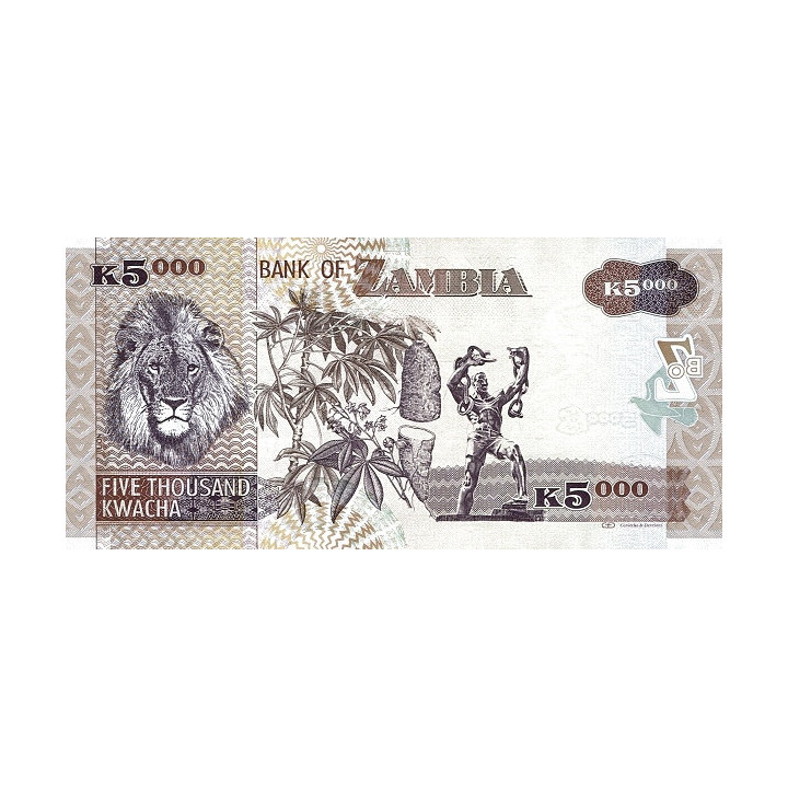 Zambia 5000 Kwacha 2011 P-45g