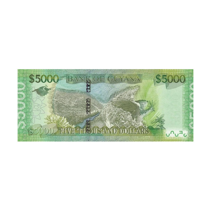 Guyana 5000 Dollars 2015 P-40b