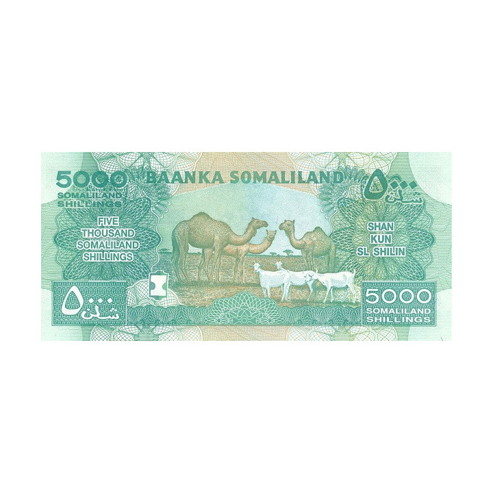 Somaliland 5000 Shillings 2016 P21e
