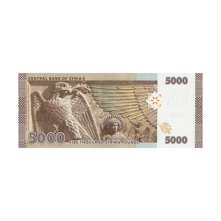 Syria 5000 Pounds 2019 P118a