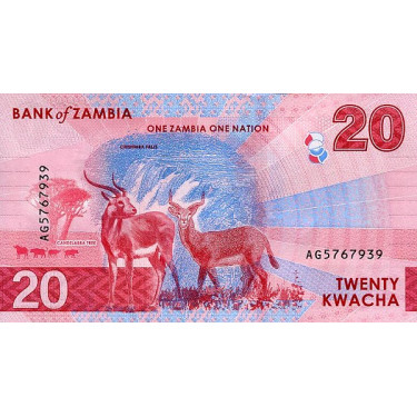 Zambia 20 Kwacha 2024 P63