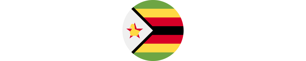 Zimbabwe sedlar - Zimbabwisk dollar ZWL ZiG valuta - RV Valutor